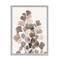 Stupell Industries Modern Ginkgo Leaf Arrangement Translucent Brown Grey Leaves Framed Wall Art